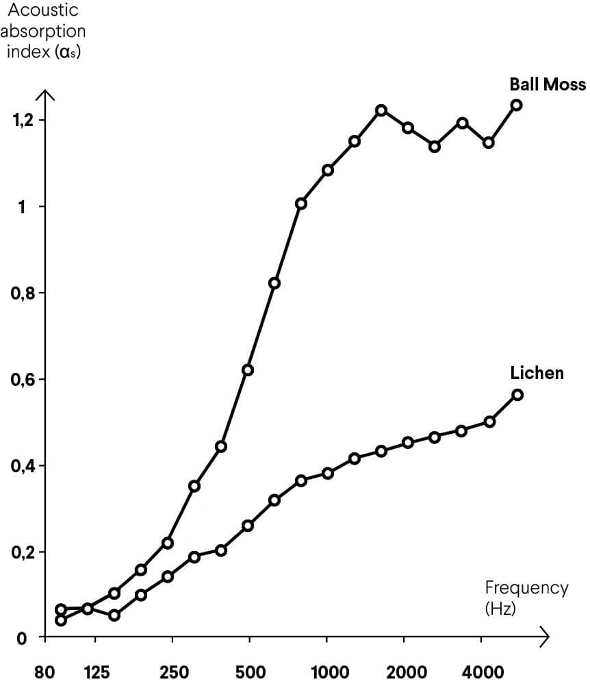 이전에 경험하지 못했던 자연 흡음 솔루션