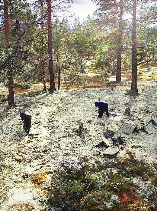 100% 천연 소재   0% 관리