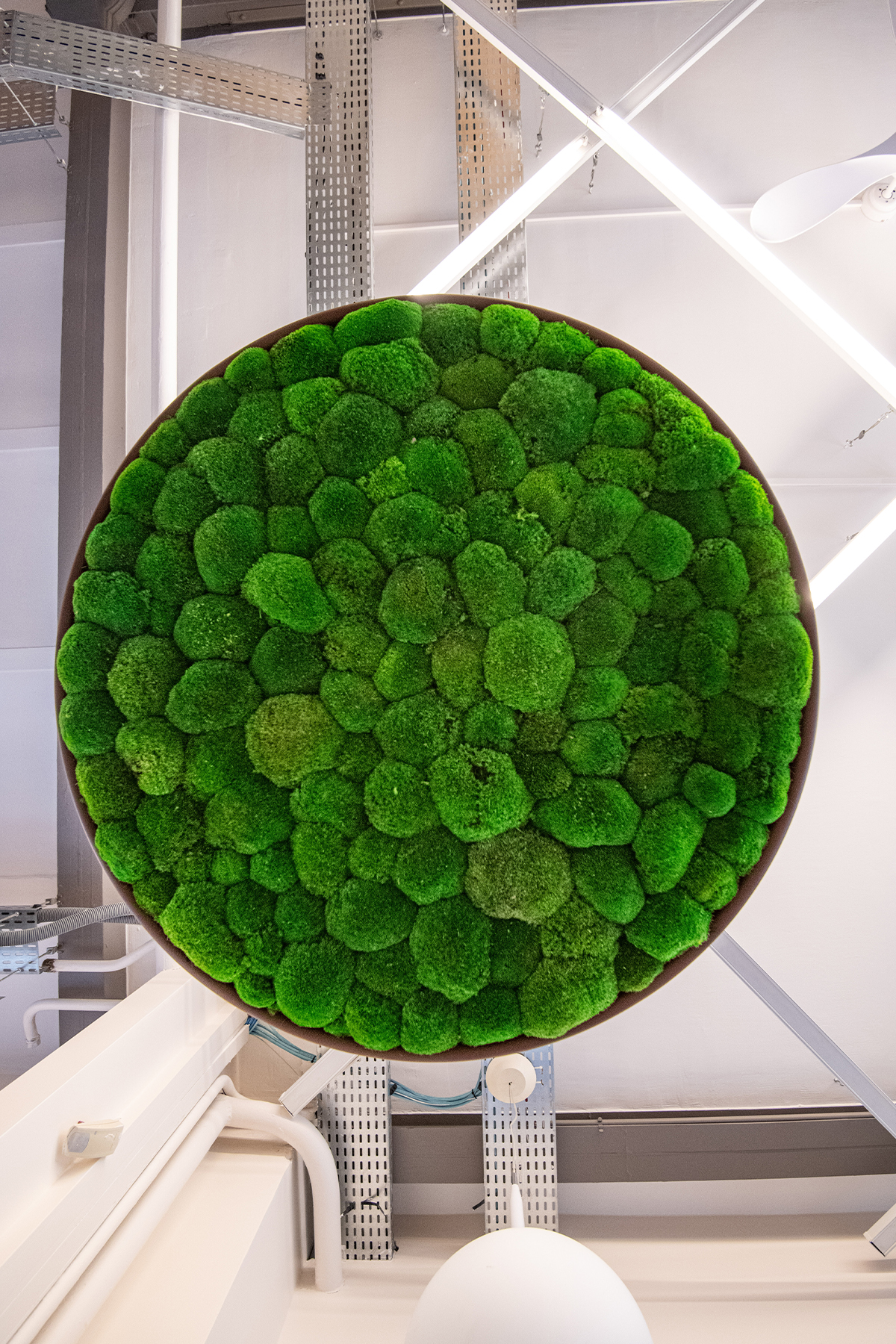 이전에 경험하지 못했던 자연 흡음 솔루션